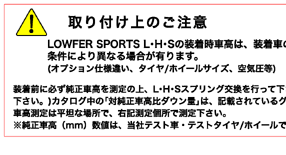 KAYABA（カヤバ）LOWFER SPORTS L・H・S（ローファースポーツLHS