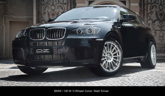 BMW / X6 M Wheel Color: Matt Silver