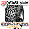 �W�I�����_�[M/T+�iGEOLANDAR M/T+�j17�C���`